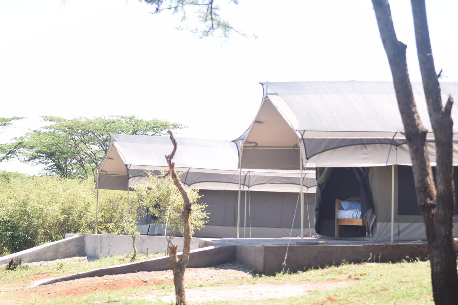 Maasai Mara Safari Camp In Kenya Bed & Breakfast Sekenani Dış mekan fotoğraf